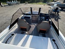 Terhi 480 BR + Honda BF50