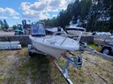 Suvi 4230 + Yamaha 20 hp