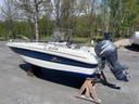 Yamarin 5010 + Yamaha F60