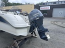 Yamarin 47 TC + Yamaha F50