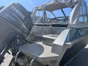 Buster XXl+Yamaha 115