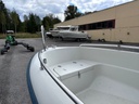 Yamarin 415 + Mercury F30 