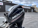 Yamarin 415 + Mercury F30 