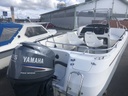 Yamarin 5910+Yamaha 115