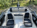 Silver Shark 580 + Mercury 115 EFi