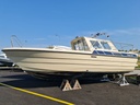 Delphin 740