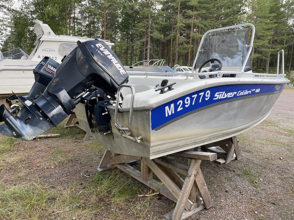 Silver Colibri 405 + Evinrude 25