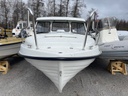 Ideal classic 550ht + evinrude 50hp e-tech 2006