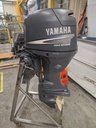 Yamaha F50