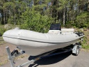 Williams 520 + Rotax 200